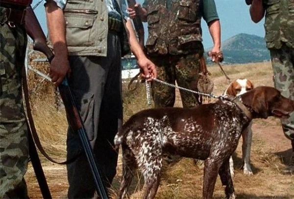 Ловният туризъм няма да ни измъкне от кризата