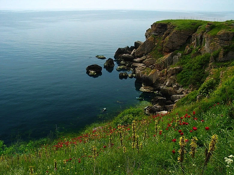 Каварна се рекламира в Румъния