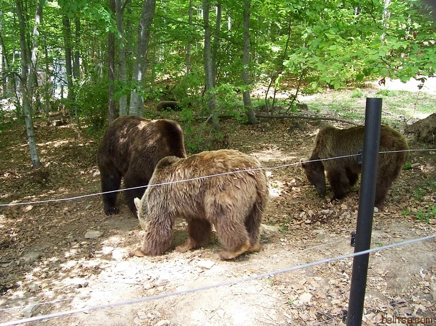 Увеличение на туристите в Белица