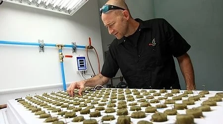 В Южна Дакота ще отварят курорт за марихуана