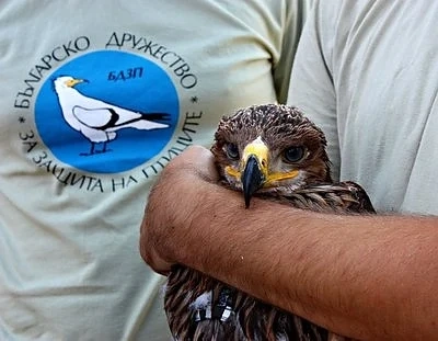 Отбелязаха Европейските дни на птиците 2015