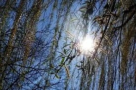 Слънчево и тихо време 