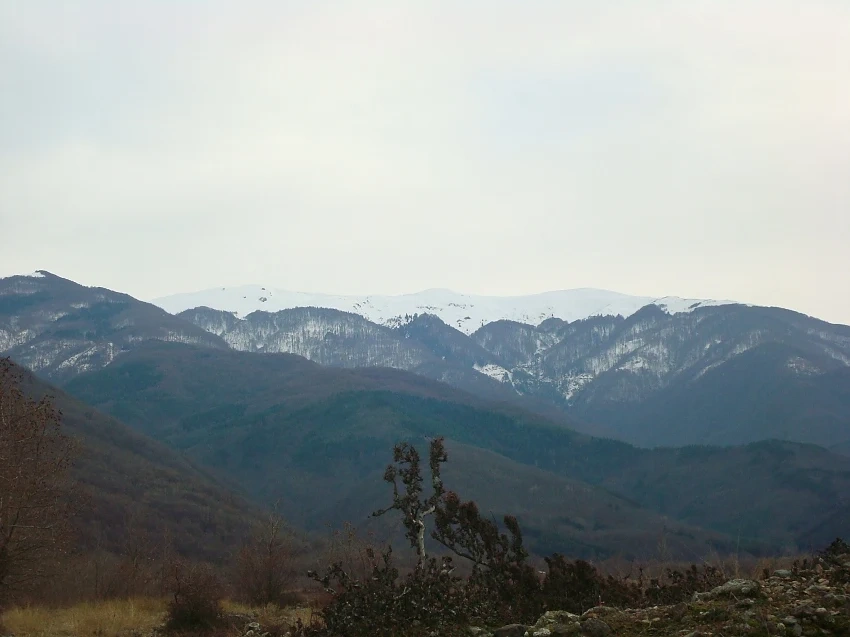 Намериха мъртъв в планината Беласица  
