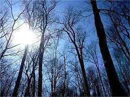 Предимно слънчево време