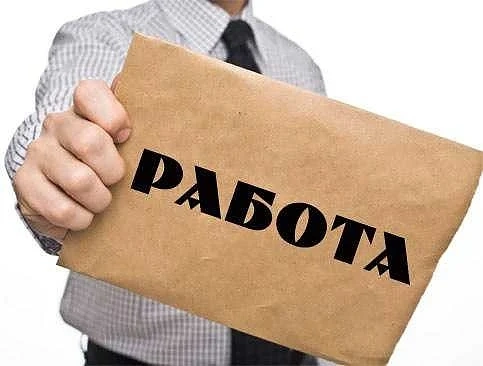 1800 свободни работни места
