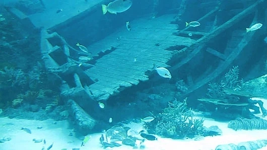Откриха на дъното на Черно море, кораби от византийския период