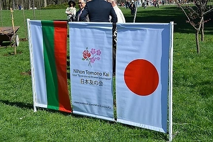Японския празник ХАНАМИ в Южния парк