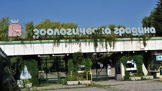 Отварят кино в Зоопарка
