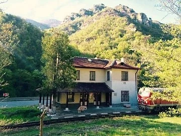 Превръщат гара Цепина в музей 