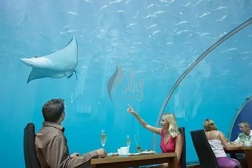  Курорт на Малдивите предлага на туристите Instagram помощник