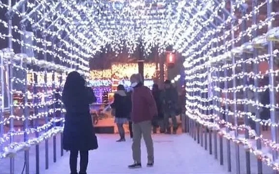 Коледна украса грейна в Сапоро - Япония 