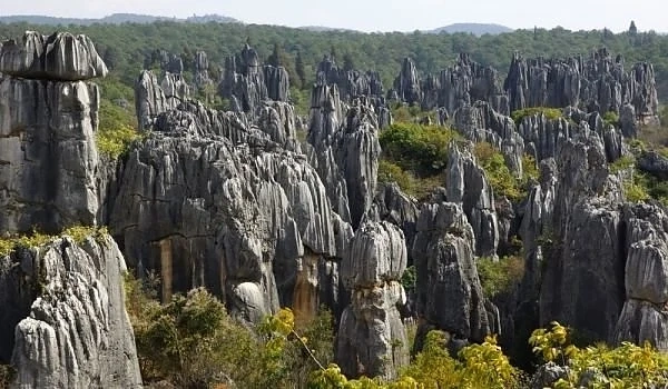 Каменната гора в Китай (видео)
