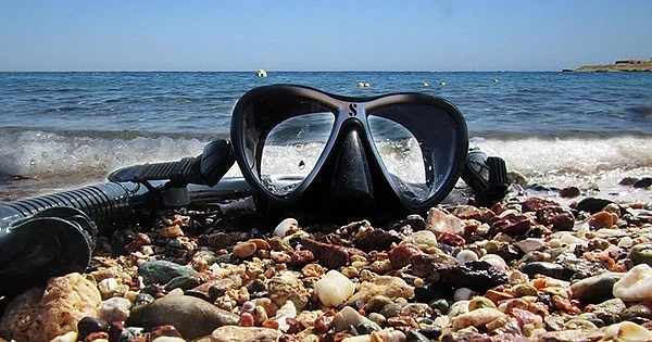 Не се гмуркайте през нощта в Червено море