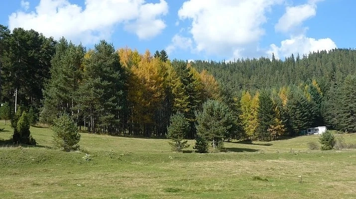 Местността Юндола 