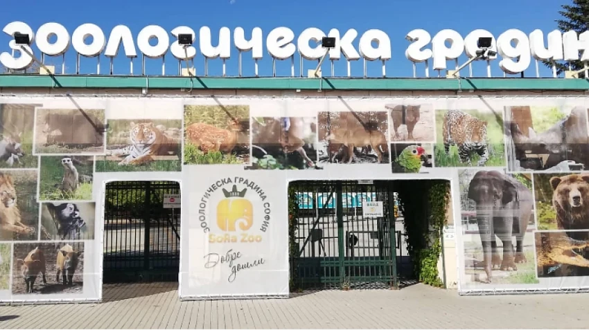 Зоологическа градина в София отваря врати 