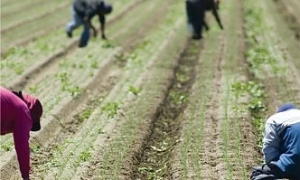 Германия улеснява влизането на сезонни работници