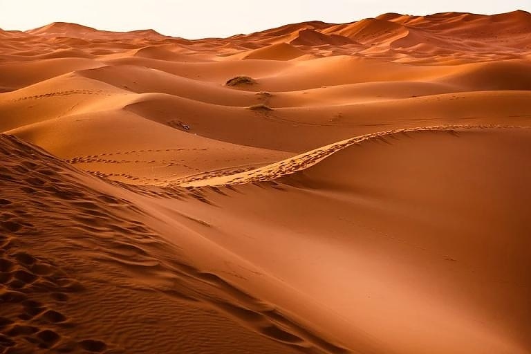 Откриха древни човешки следи в Саудитска Арабия 