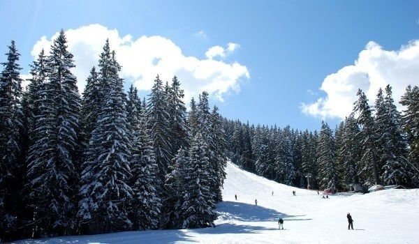 Община Разлог пусна за съгласуване ски проекта Кулиното