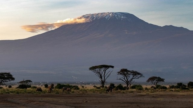 Втори туроператор пуска чартър до Кения 