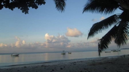 Сейшелските острови се отварят за туристи, но с маски