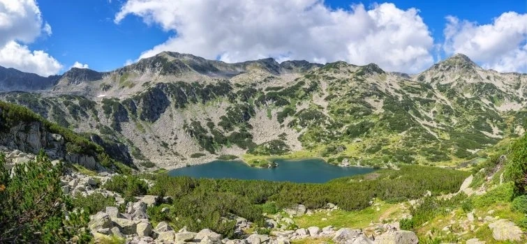 Само Партия на ЗЕЛЕНИТЕ работи за опазването на българската природа 