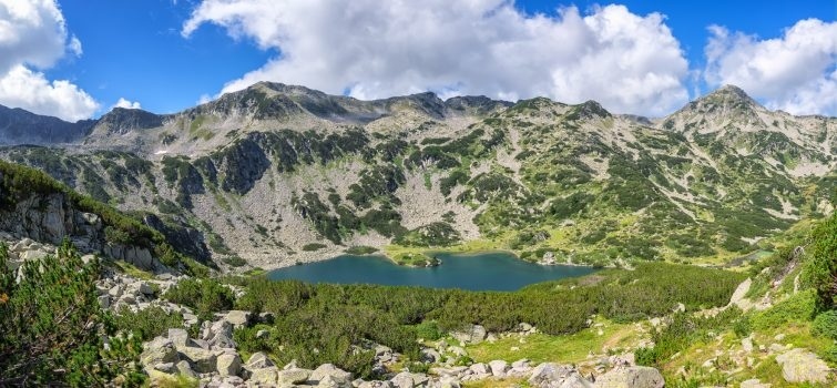 Само Партия на ЗЕЛЕНИТЕ работи за опазването на българската природа 
