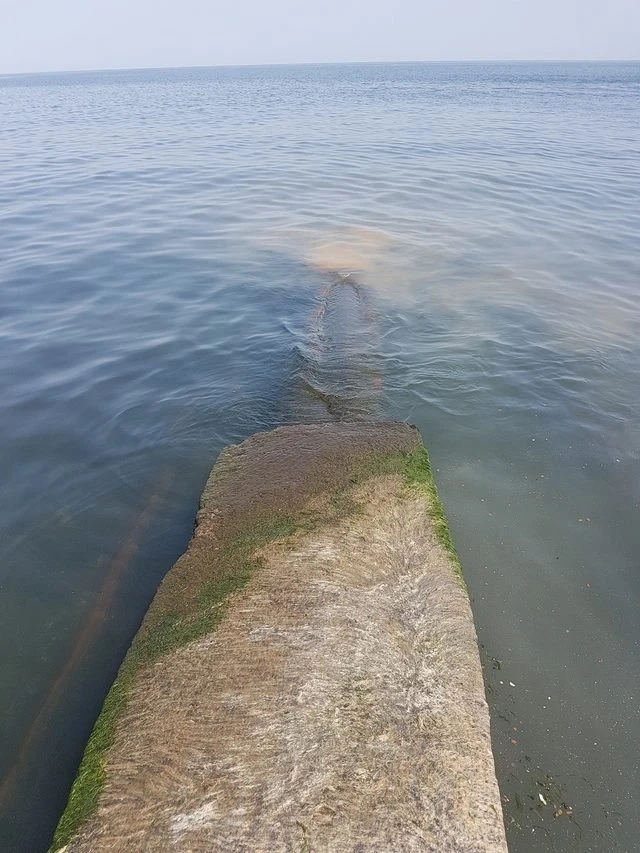 Мръсните води на Синеморец се изливат отново в морето