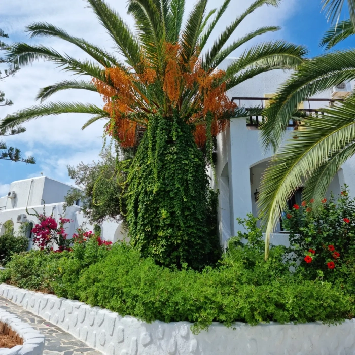 Хотел Hersonissos Village на Крит впечатлява българите с уникални гледки