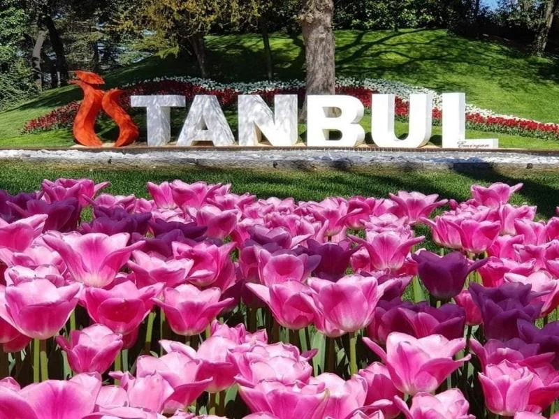 Интересът на българите към Турция ще нараства и през тази година 