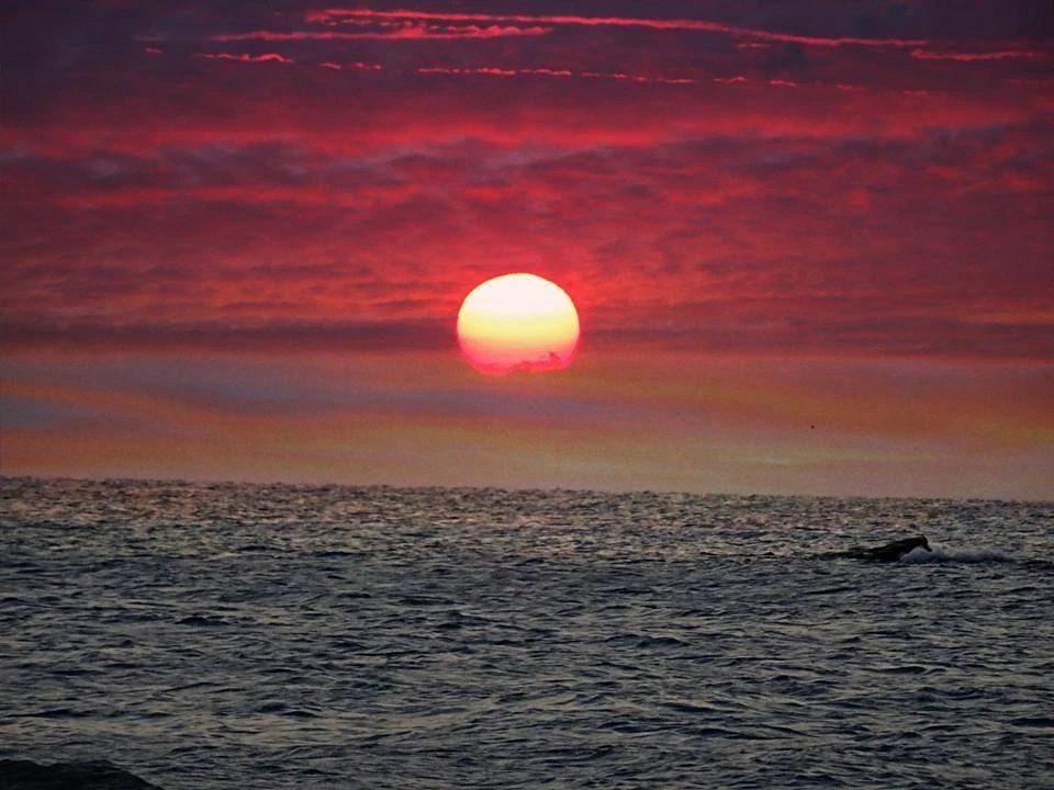 Bedroom beach на Слънчев бряг организира July morning 