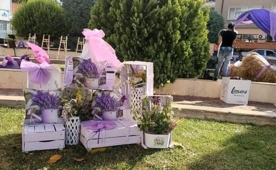 Започна фестивалът на лавандулата в Чирпан