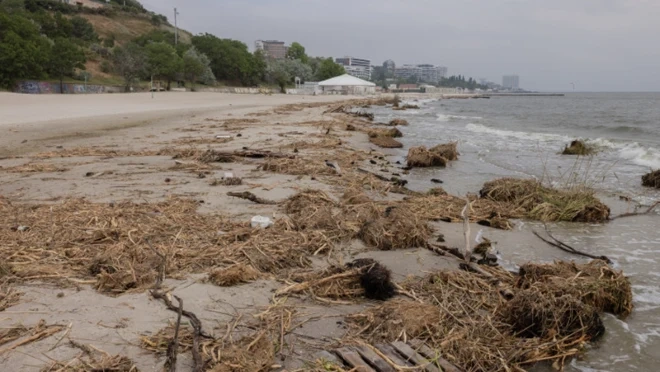 Водата в Черно море се влошава край Одеса