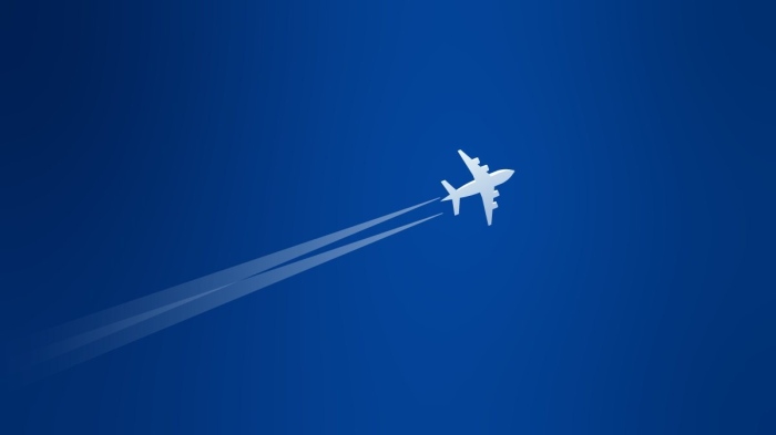 Авиокомпании изпитват затруднения заради липсата на самолети