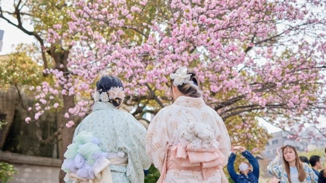 Разцъфването на вишните и евтината йена водят до бум на туристите в Япония