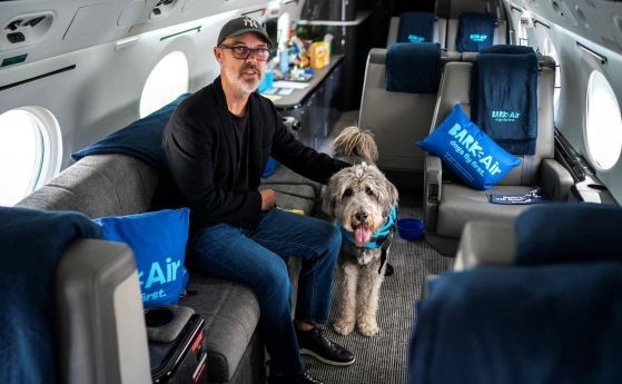 Ексклузивна авиолиния за кучета - BARK Air, осъществи първия си полет
