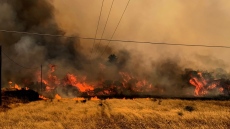 Гърция е обхваната от екстремни температури и пожари, евакуират туристи