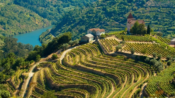 Вижте най-красивите винарни в Европа