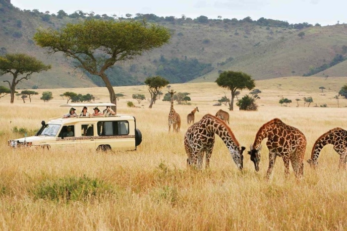Делта турс предлага екскурзия с наблюдение на голямата миграция в Кения