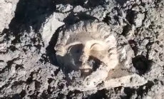 Археолози откриха майсторски изваяно лице в Хераклея Синтика (ВИДЕО)