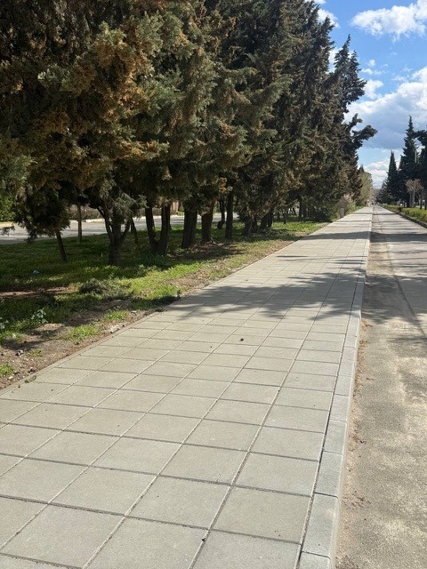 Слънчев бряг АД продължава проверките: установени са имоти, използвани без правно основание