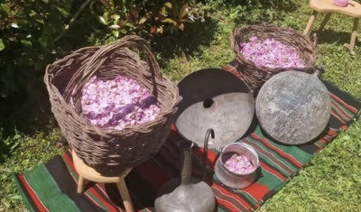 Делегации от Япония, Германия, Италия, Молдова, Полша бяха гости на Празника на розата в Карлово