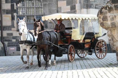 Край на емблематичните разходки с конски файтони в Ню Йорк